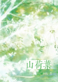 山荷叶花科普