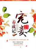 宠妾养成记 抹茶曲奇讲的是什么