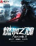 燃钢之魂笔趣阁全文免费阅读